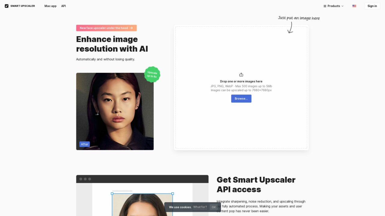 ai-image-upscaler-4-by-Futureen