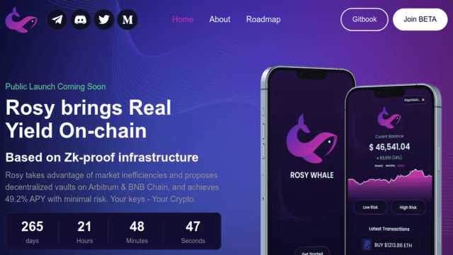 rosywhale-by-Futureen