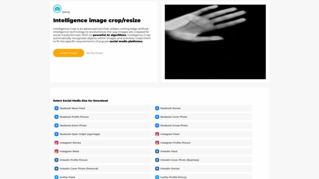 photostockeditor-Top-AI-Tools-By-Futureen