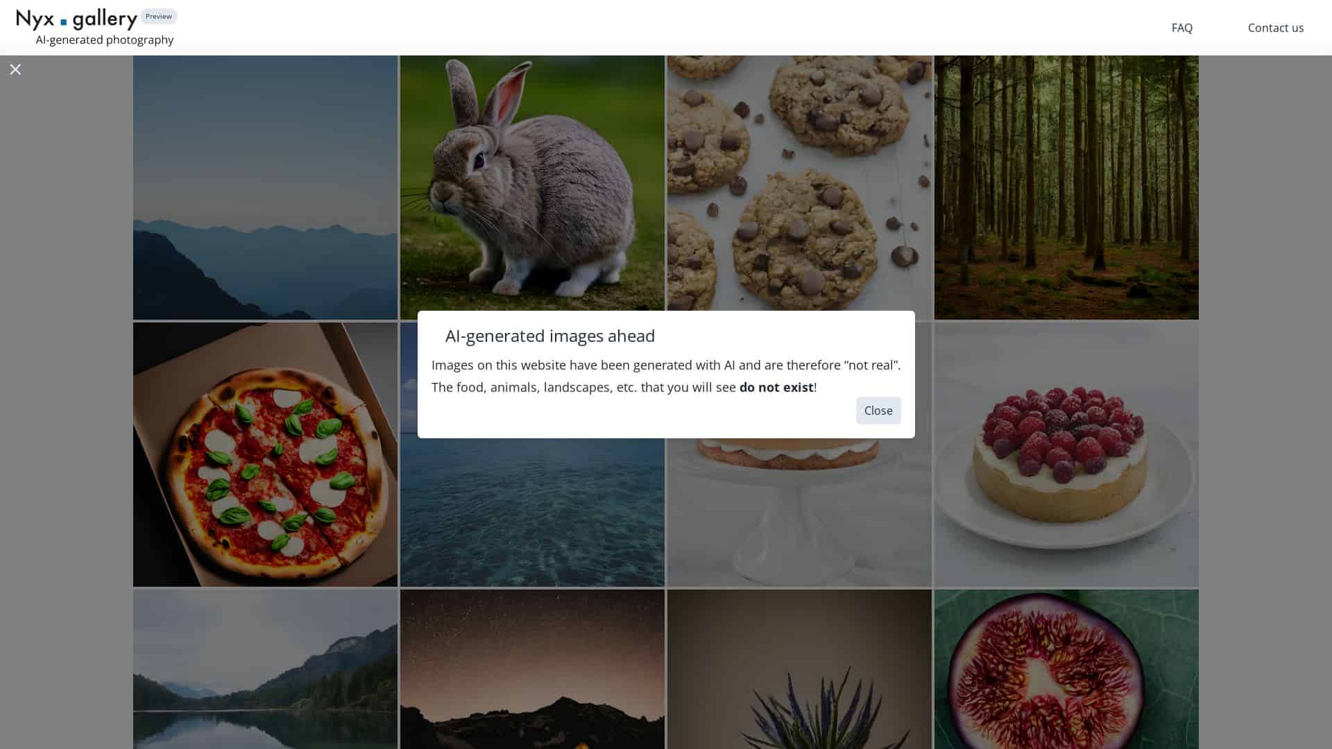 nyx-gallery-by-Futureen